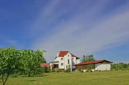 Щедрый заяц - 1