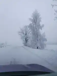 Щедрый заяц - 12