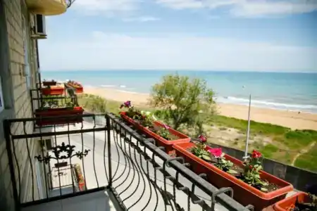 Метрополь - 123