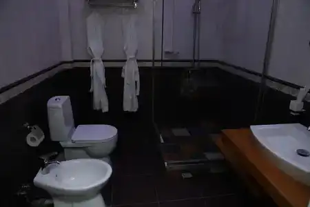 Метрополь - 137