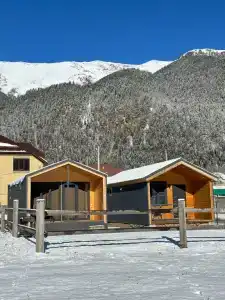 Мустанг - 3