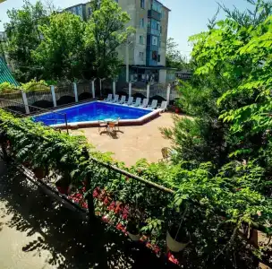 Парадейсон - 1