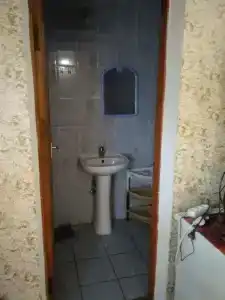 Алиса - 20