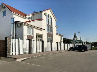 Папоротник - 4