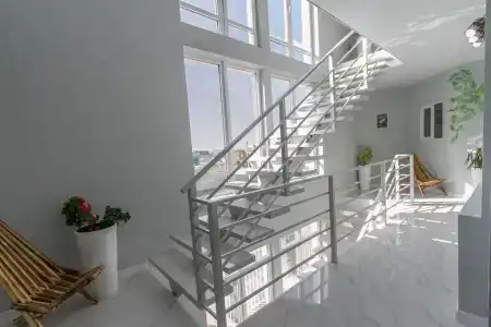 Папоротник - 6