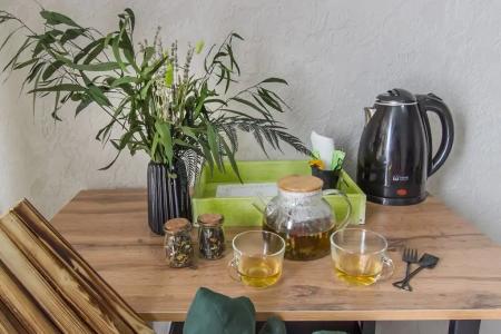 Папоротник - 16