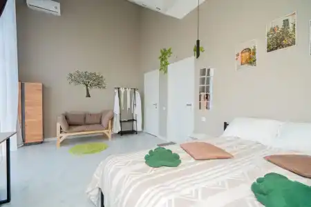 Папоротник - 13