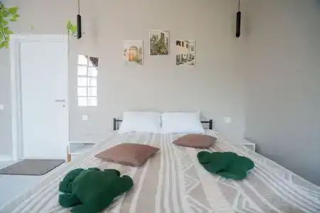 Папоротник - 14