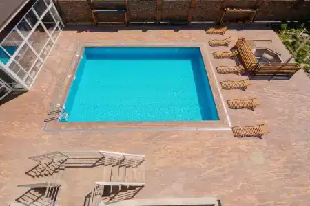 Папоротник - 1