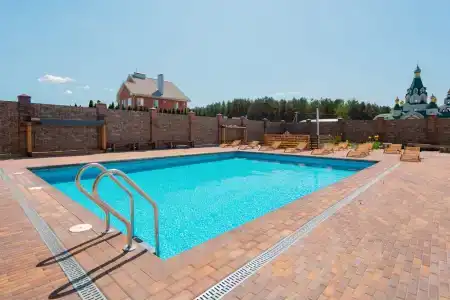 Папоротник - 2