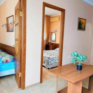 Ракушка Анапа - 28