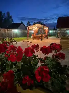Гости Ростов - 26