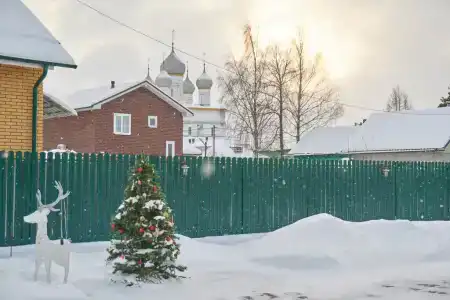 Гости Ростов - 36
