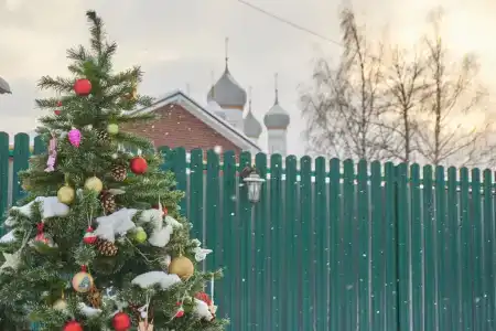 Гости Ростов - 34