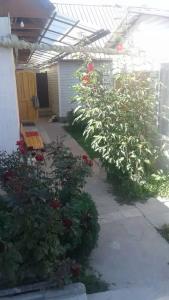 У Ильнары - 2