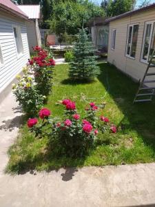 У Ильнары - 5