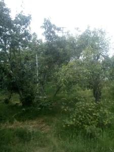 У Ильнары - 14