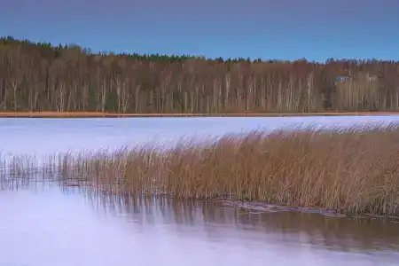 WhiteПоляны Карелия - 15