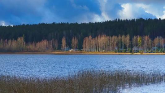 WhiteПоляны Карелия - 26