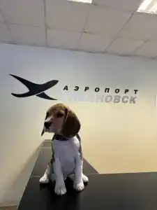 Аэропорт - 2