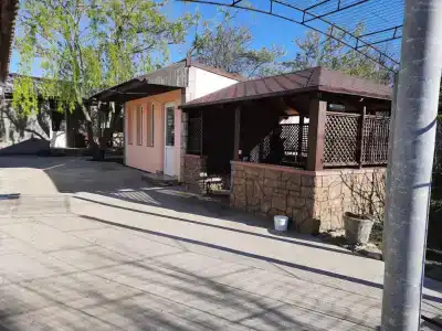 Агава - 2