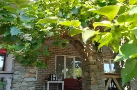 Ботаника - 2