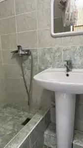 Альдаир - 55