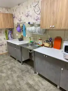 Гортензия - 2