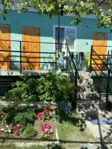 Гортензия - 1