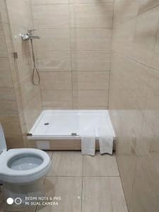 Фламинго - 18