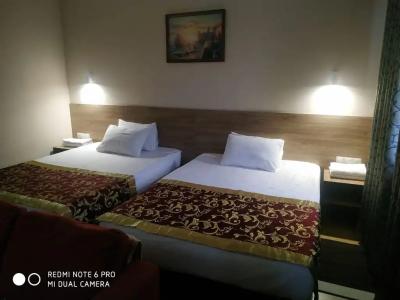 Фламинго - 19