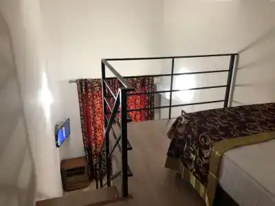 Фламинго - 25