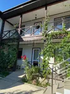 Лес у моря - 28
