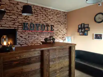 Койот - 3