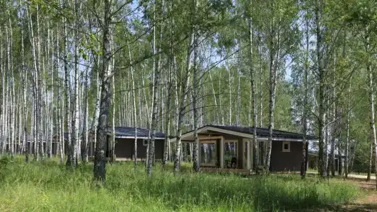 Norke Есенинская Русь - 4