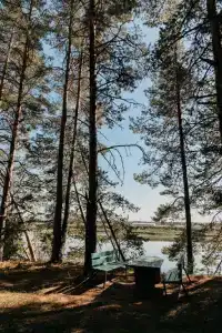 Колос - 16