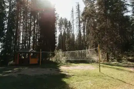 Колос - 21