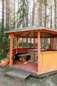 Колос - 22