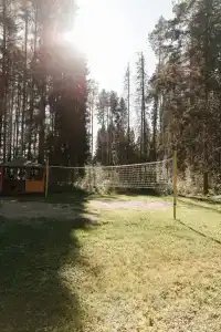 Колос - 29