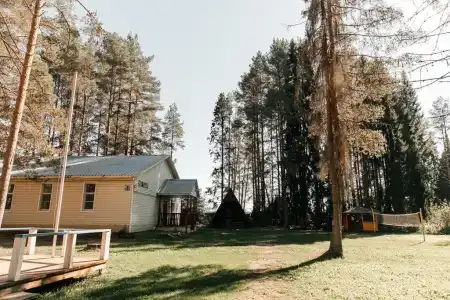 Колос - 45