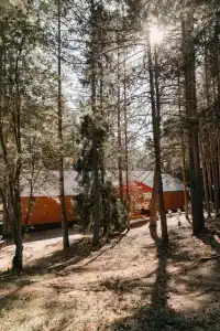 Колос - 46