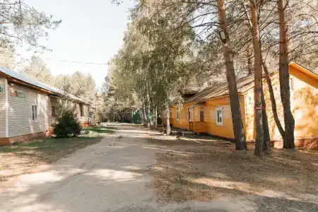Колос - 31