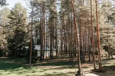 Колос - 39
