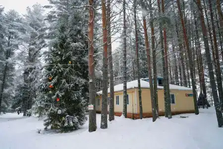 Колос - 50