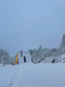 Ягель - 86