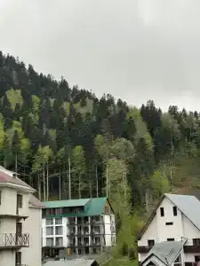 Шале - 17