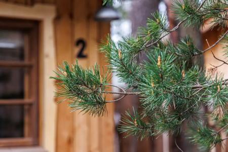 Удивительное рядом - 158