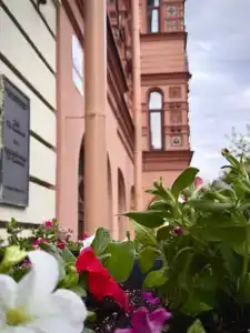 Мечтатель-отель - 65