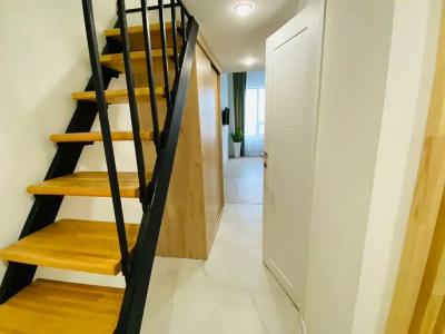 Green House - 21
