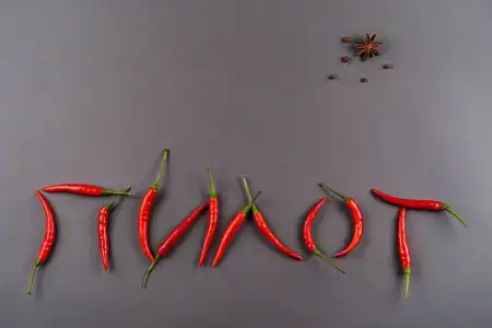 Пилот - 9